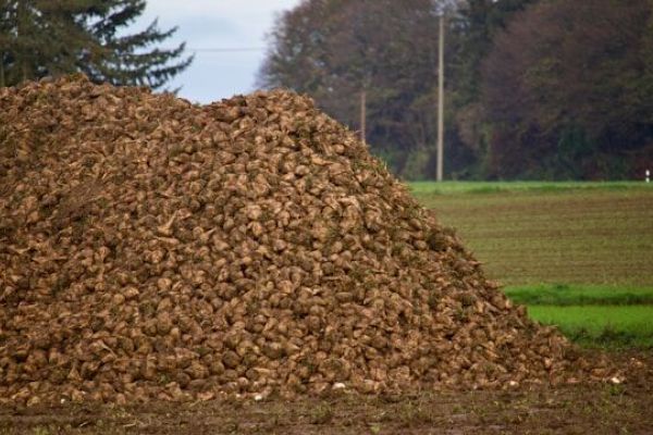 A kép forrása: Unplash/andrew-dawes